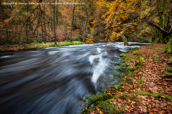 Autumn at Achray Water in the Trossachs Picture Board by George Robertson