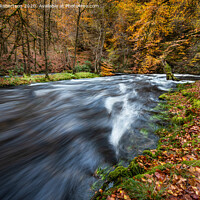 Buy canvas prints of Autumn at Achray Water in the Trossachs by George Robertson