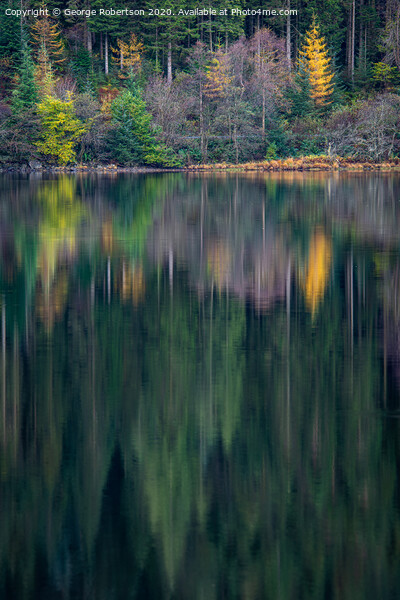 Autumn reflections on Loch Chon Picture Board by George Robertson