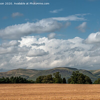 Buy canvas prints of Lush farm lands in the Forth Valley by George Robertson