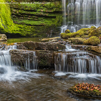 Buy canvas prints of Scaleber Force, Yorkshire by George Robertson