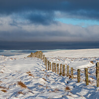 Buy canvas prints of A fence line in Snow by George Robertson
