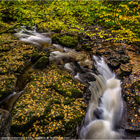 Buy canvas prints of The Birks of Aberfeldy, Perthshire by George Robertson