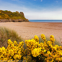 Buy canvas prints of Tor Bay and Great Tor, Gower by Dan Santillo