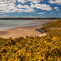 Buy canvas prints of Tor Bay and Oxwich Bay, Gower, Wales by Dan Santillo