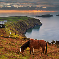 Buy canvas prints of Sunset over Worms Head, Rhossili Bay by Dan Santillo