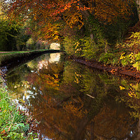 Buy canvas prints of Monmouthshire and Brecon Canal, Brecon Beacons Nat by Dan Santillo
