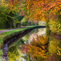 Buy canvas prints of Monmouthshire and Brecon Canal, Brecon Beacons Nat by Dan Santillo