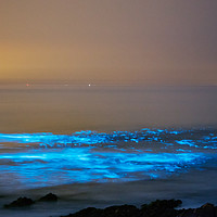 Buy canvas prints of Bioluminescent plankton, Port Eynon Bay, Gower by Dan Santillo