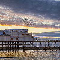 Buy canvas prints of Royal Pier Murmuration, Aberystwyth, Ceredigion by Dan Santillo