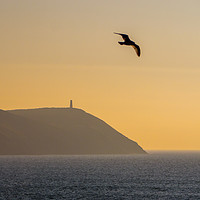 Buy canvas prints of Cornish Headland Sunset by Jon Rendle