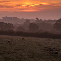 Buy canvas prints of Devon Misty Morning by Jon Rendle