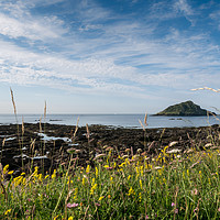 Buy canvas prints of Mewstone Island from Wembury Point by Jon Rendle