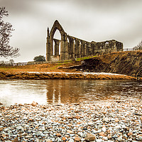 Buy canvas prints of Bolton Abbey, Yorkshire by Richard Whitley