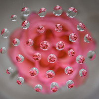 Buy canvas prints of tiny tiny petals by Sara Melhuish