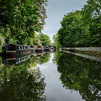 Buy canvas prints of Canal tranquility  by Sara Melhuish