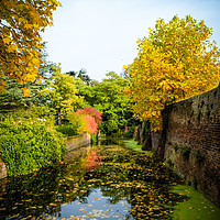 Buy canvas prints of Moat reflections by Sara Melhuish