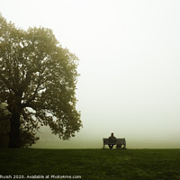 Buy canvas prints of Man on a bench by a tree by Sara Melhuish