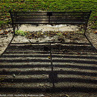 Buy canvas prints of Shadows of a bench by Sara Melhuish