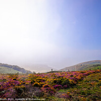 Buy canvas prints of The fog is clearing over Exmoor by Sara Melhuish