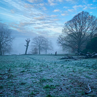 Buy canvas prints of Frosty morning dog walk, Part 1 by Sara Melhuish