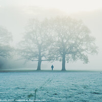Buy canvas prints of Frosty morning walk in the fog by Sara Melhuish