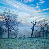 Buy canvas prints of Frosty morning dog walk, Part 2 by Sara Melhuish
