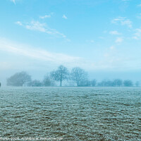 Buy canvas prints of Frosty meadow by Sara Melhuish