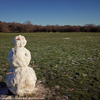 Buy canvas prints of Snowman in a field by Sara Melhuish