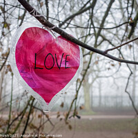 Buy canvas prints of A love heart in a tree by Sara Melhuish