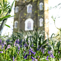 Buy canvas prints of Bluebells and castle by Sara Melhuish
