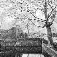 Buy canvas prints of snow covered tree over moat by Sara Melhuish