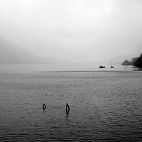 Buy canvas prints of Peaceful Loch Lomond scene by Piers Thompson
