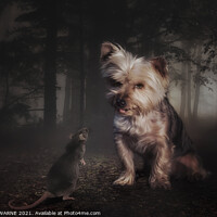 Buy canvas prints of Animal dog by SCOTT WARNE