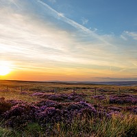 Buy canvas prints of Beautiful heather by Russell Burton