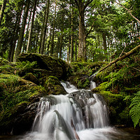 Buy canvas prints of Cascade by Russell Burton