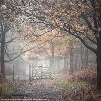 Buy canvas prints of A foggy day in the Peak District by Russell Burton
