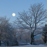 Buy canvas prints of Moonlight on the first snowfall by Chris Langley