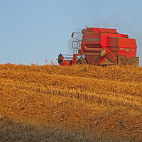 Buy canvas prints of The Harvest by Chris Langley