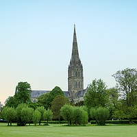 Buy canvas prints of Salisbury Cathedral Close by Chris Langley