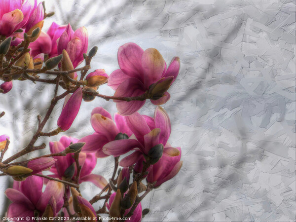 Tulip Tree Blossoms Picture Board by Frankie Cat