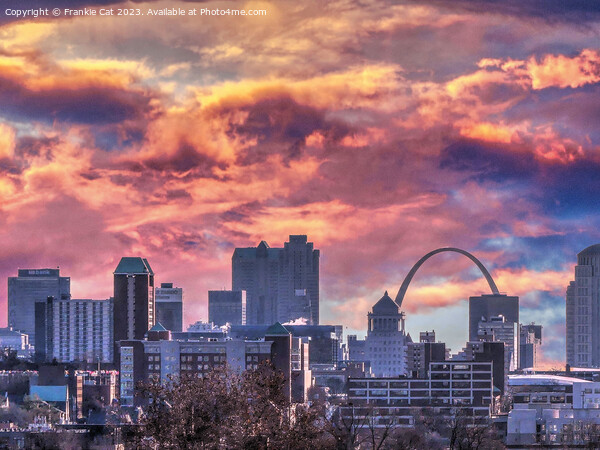 St. Louis at Sunrise Picture Board by Frankie Cat