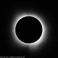 Buy canvas prints of Total Solar Eclipse  by Frankie Cat