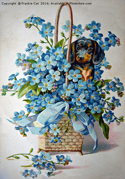 Dachshund and Forget-me-nots Picture Board by Frankie Cat