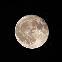 Buy canvas prints of Full Moon by Frankie Cat