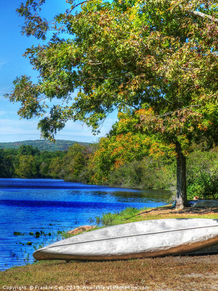 Shepherd Mountain Lake with Canoe  Picture Board by Frankie Cat