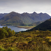 Buy canvas prints of    The Five Sisters of Kintail                     by Susan Cosier