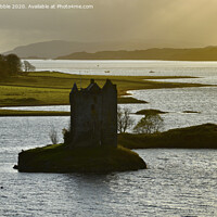 Buy canvas prints of Castle Stalker at sunset by Susan Cosier