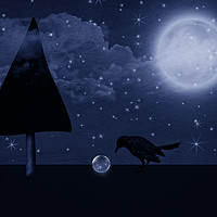 Buy canvas prints of The Raven Max and the stars ball. by Dagmar Giers