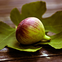 Buy canvas prints of Honeyed figs  by Dagmar Giers